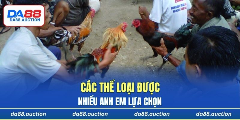 Các thể loại được nhiều anh em lựa chọn