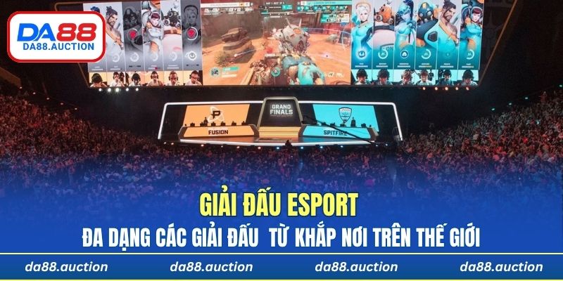 Đa dạng các giải đấu dành cho hội viên từ khắp nơi trên thế giới