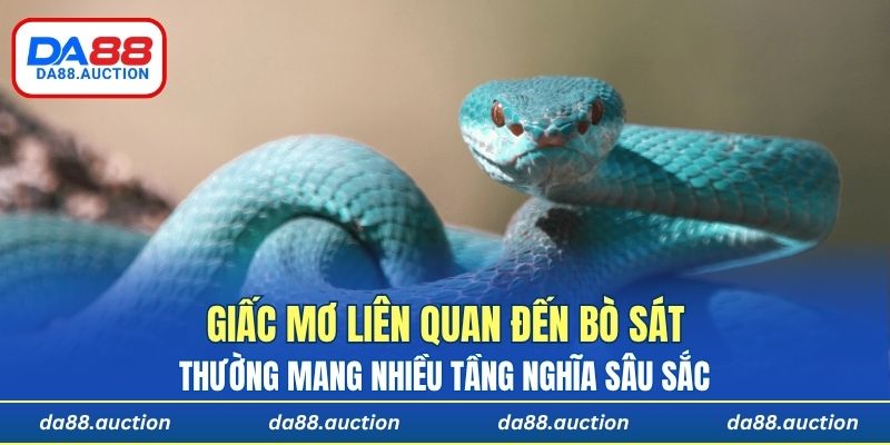 Giấc mơ liên quan đến loài bò sát thường mang nhiều tầng nghĩa sâu sắc