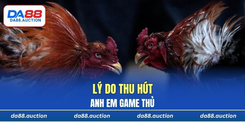 Lý do thu hút anh em game thủ
