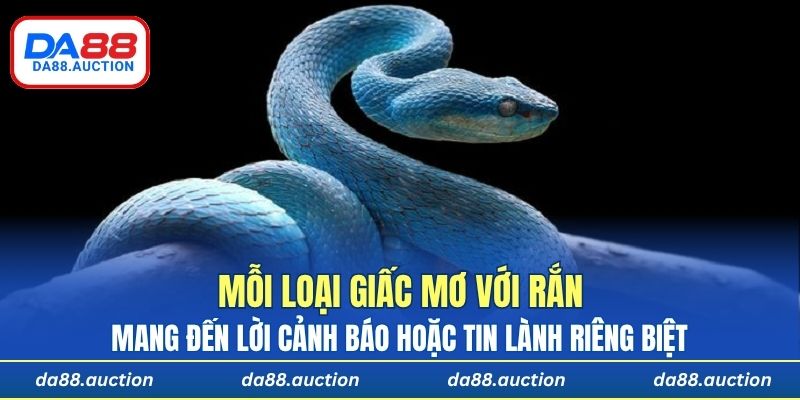 Mỗi loại giấc mơ với rắn đều mang đến lời cảnh báo hoặc tin lành riêng biệt