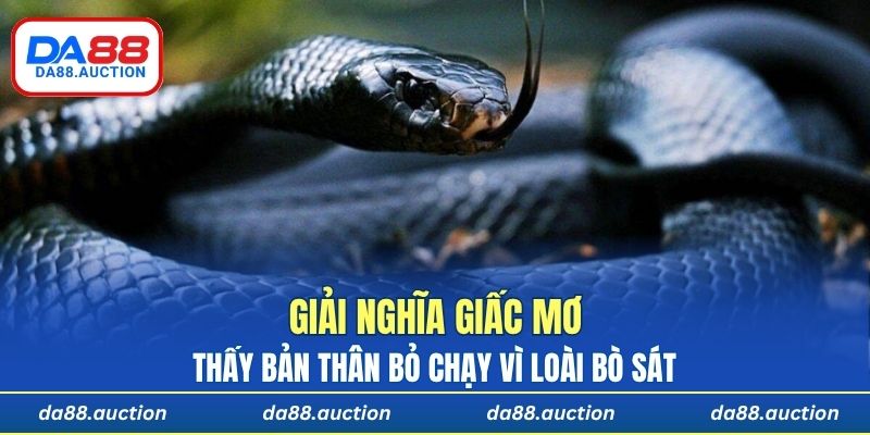 Thấy bản thân bỏ chạy vì loài bò sát này rượt đuổi trong mơ