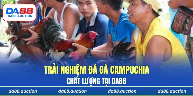 Trải nghiệm đá gà Campuchia chất lượng tại DA88