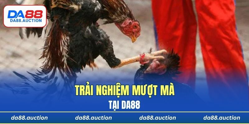 Trải nghiệm mượt mà tại DA88