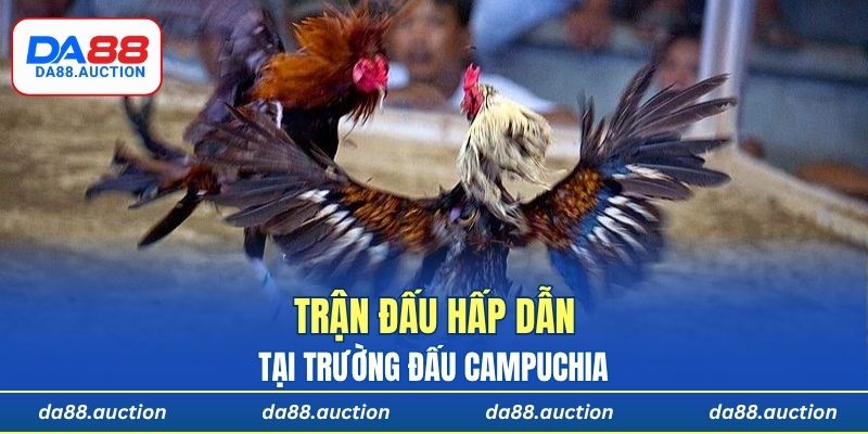 Trận đấu hấp dẫn tại trường đấu Campuchia